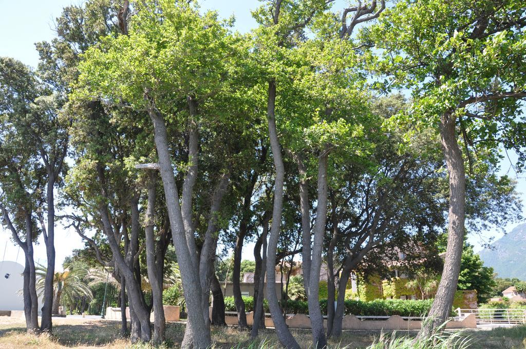 Sole E Mare Aparthotel Santa-Maria-Poggio  Kültér fotó